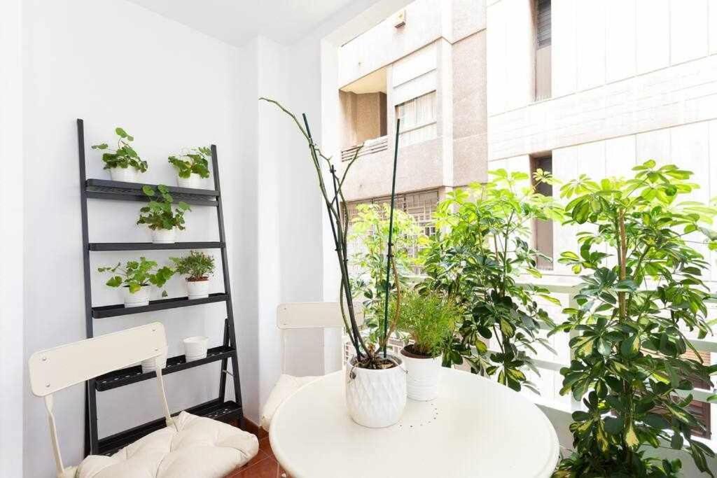 Sabino Dreams Santa Cruz Apartamento Exterior foto